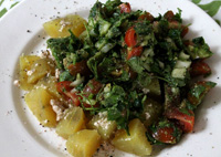 high raw or 100% raw diet